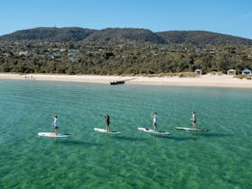 Wild Adventures Melbourne (WAM)
