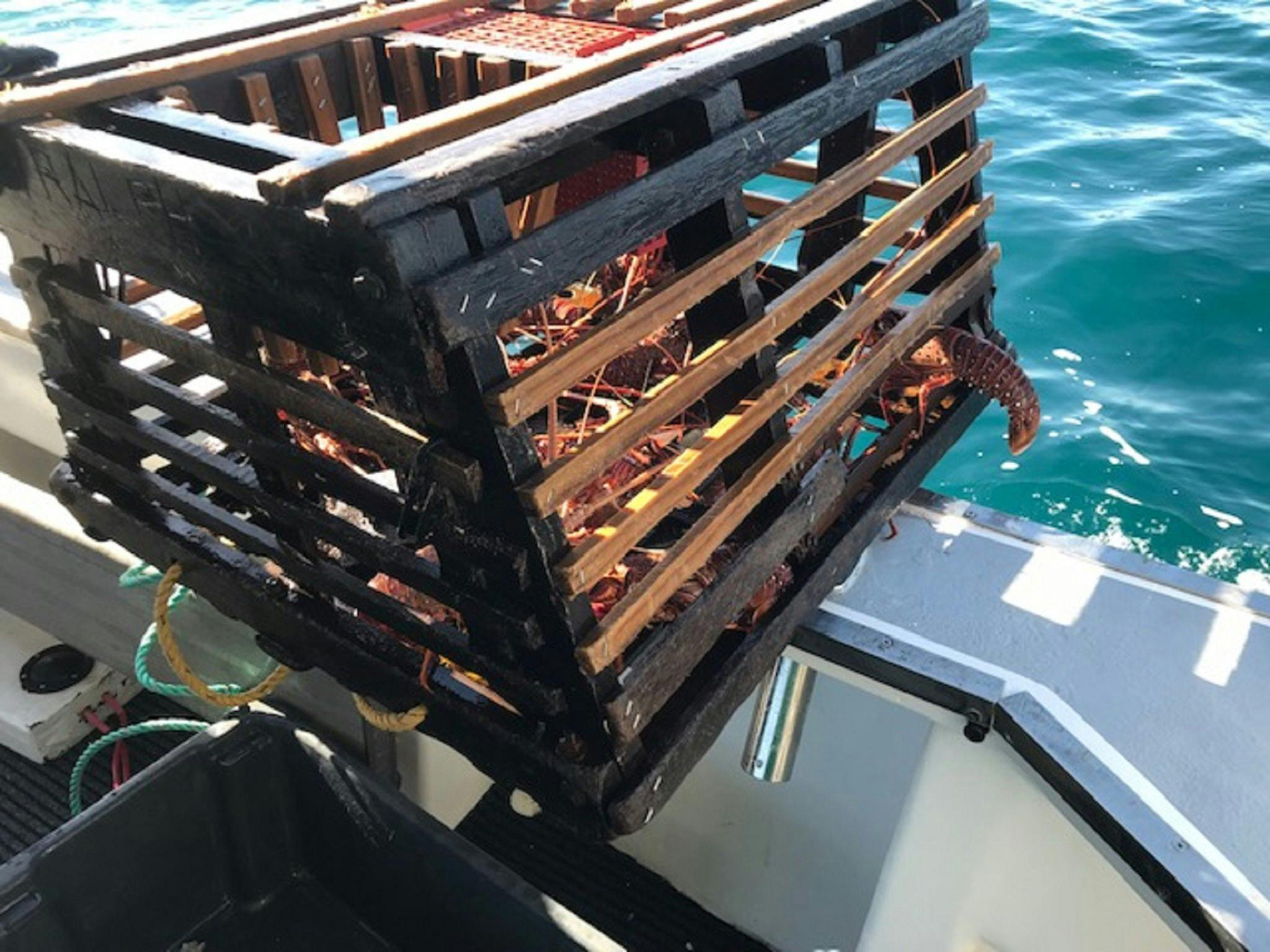 Kalbarri Rock Lobster Tours and Charter, Kalbarri, Western Australia