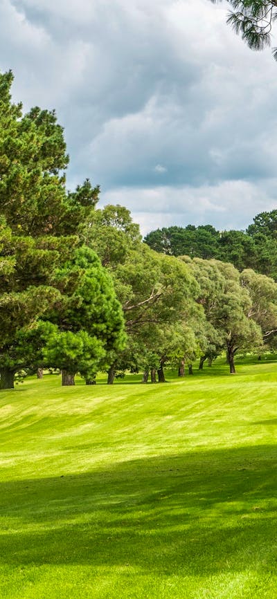 Braidwood Servicemens Club