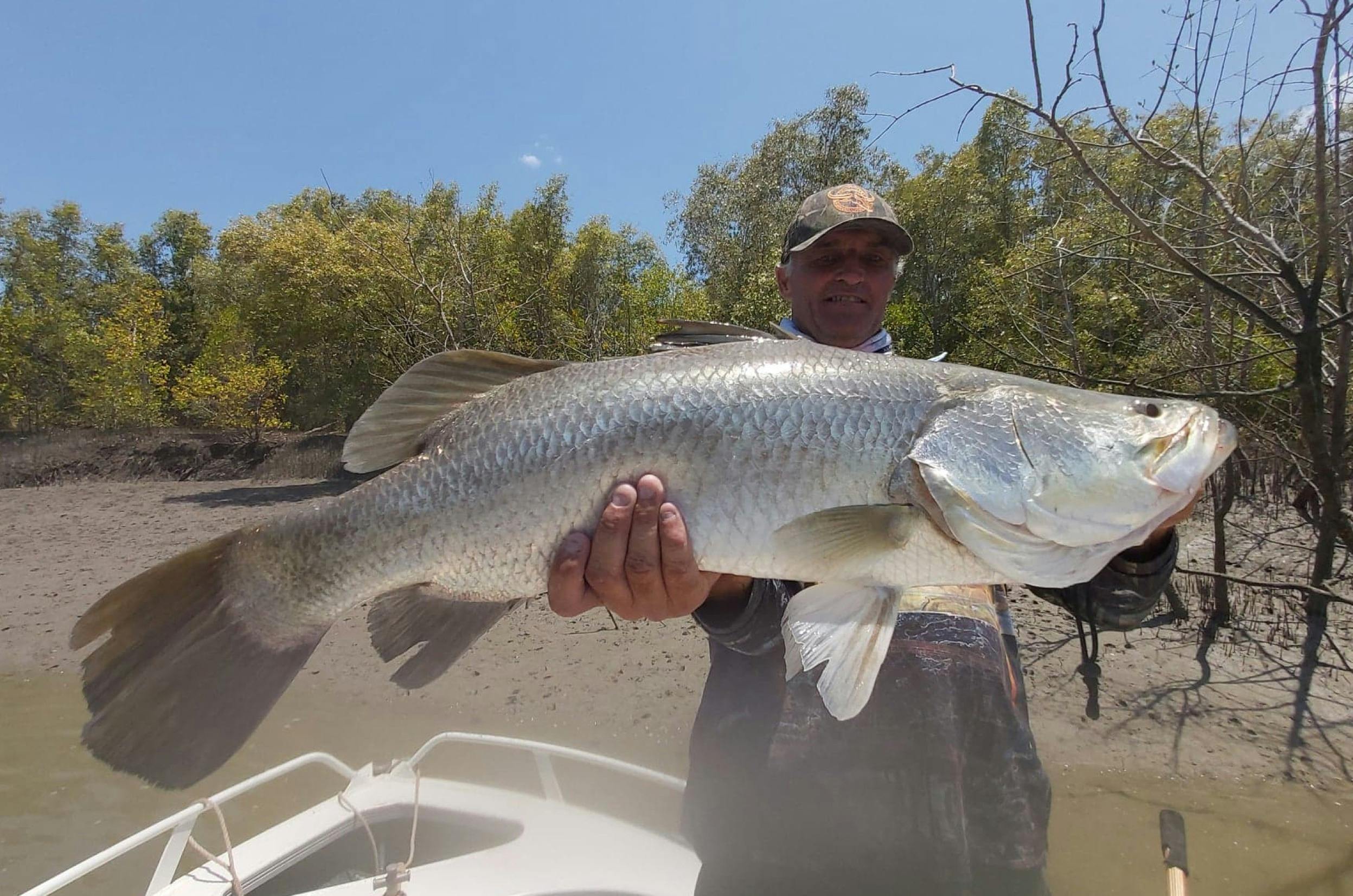 Wild Barramundi