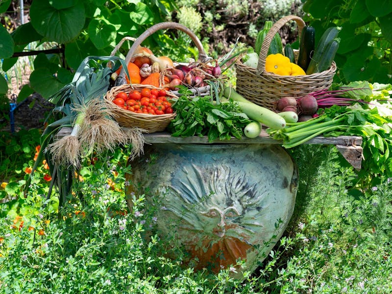 Image for Garden Workshop with Sophie Thomson