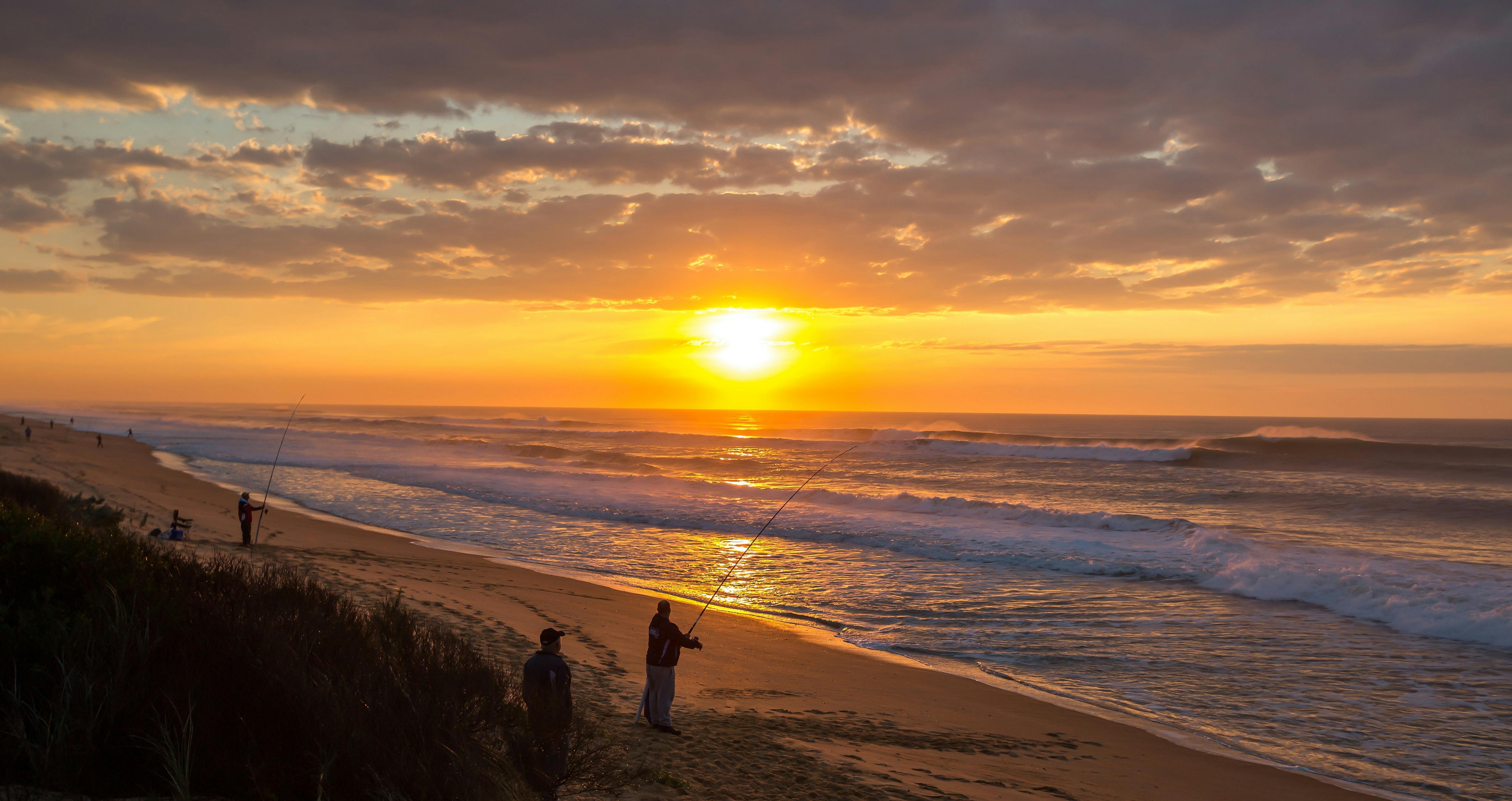 End of Summer Surf Festival