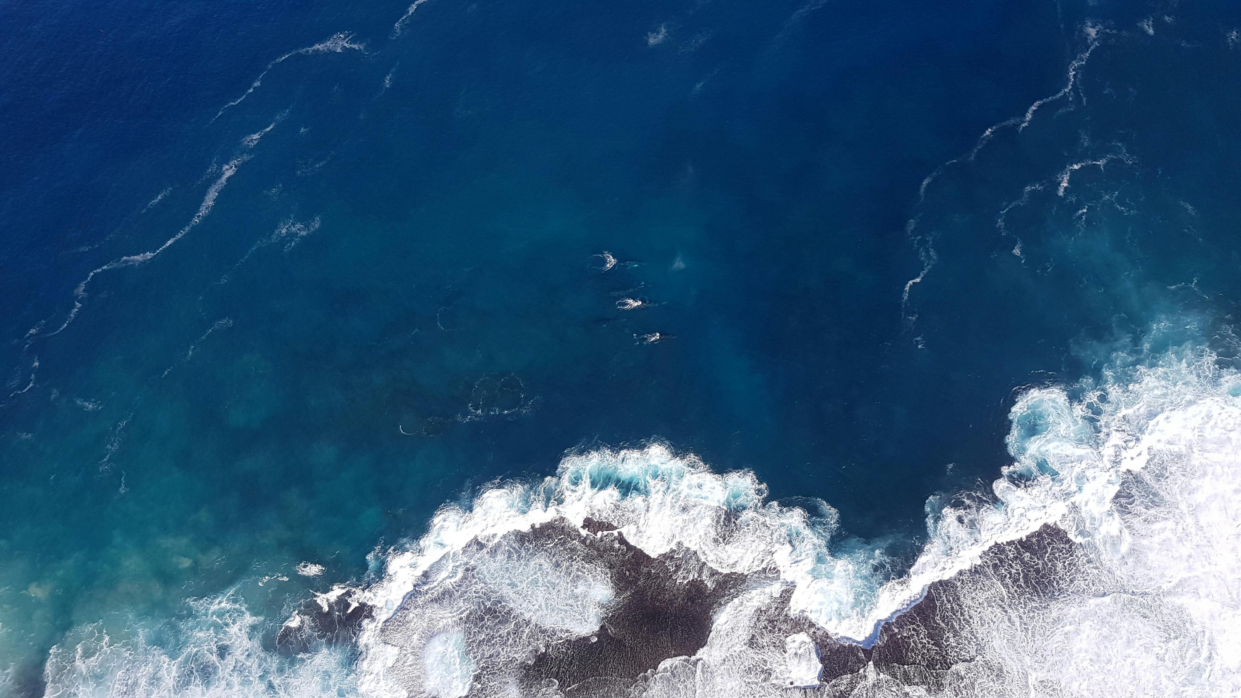 Coral Coast Helicopter Services, Carnarvon, Western Australia