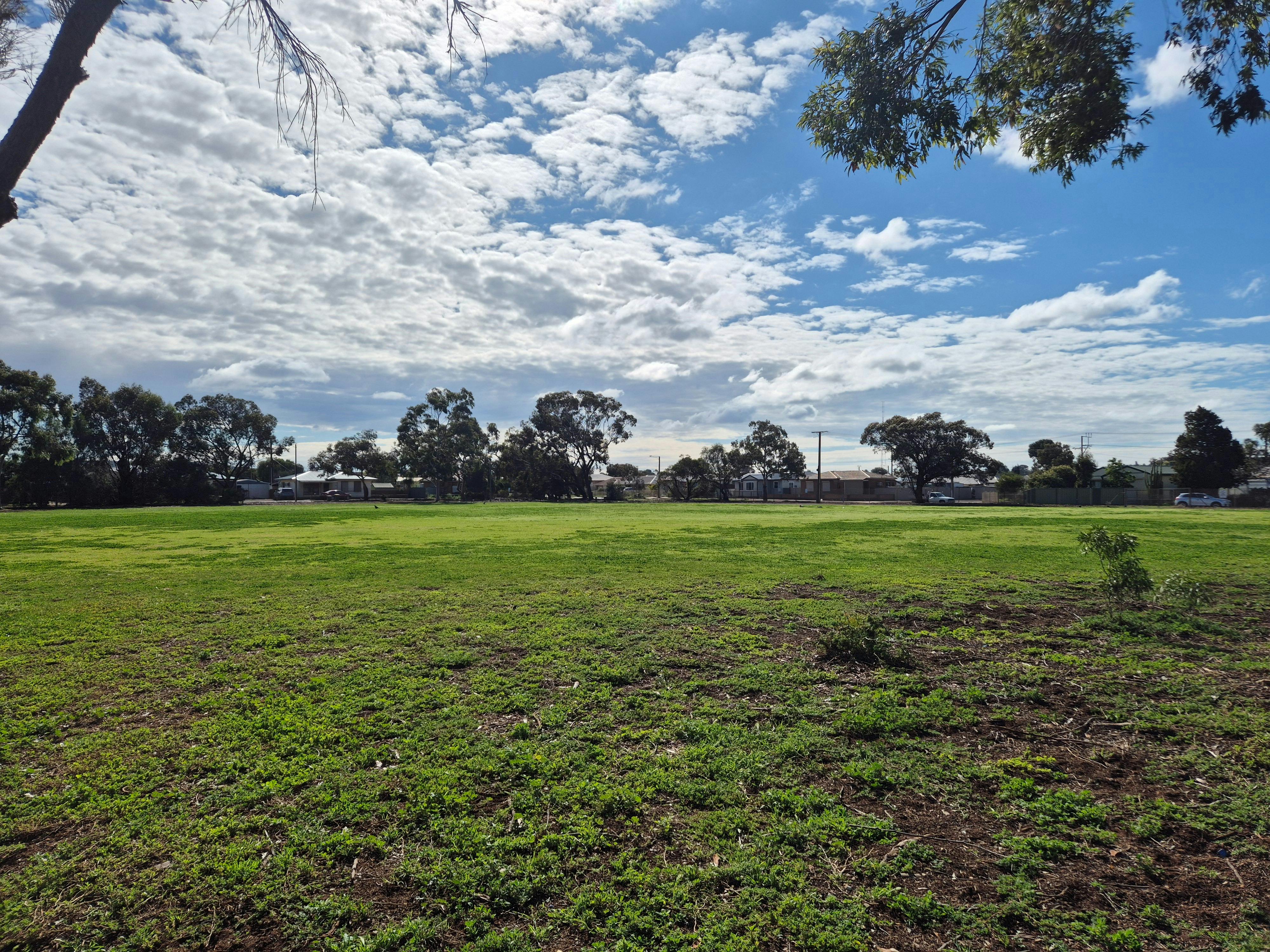 Whyalla Dog Park