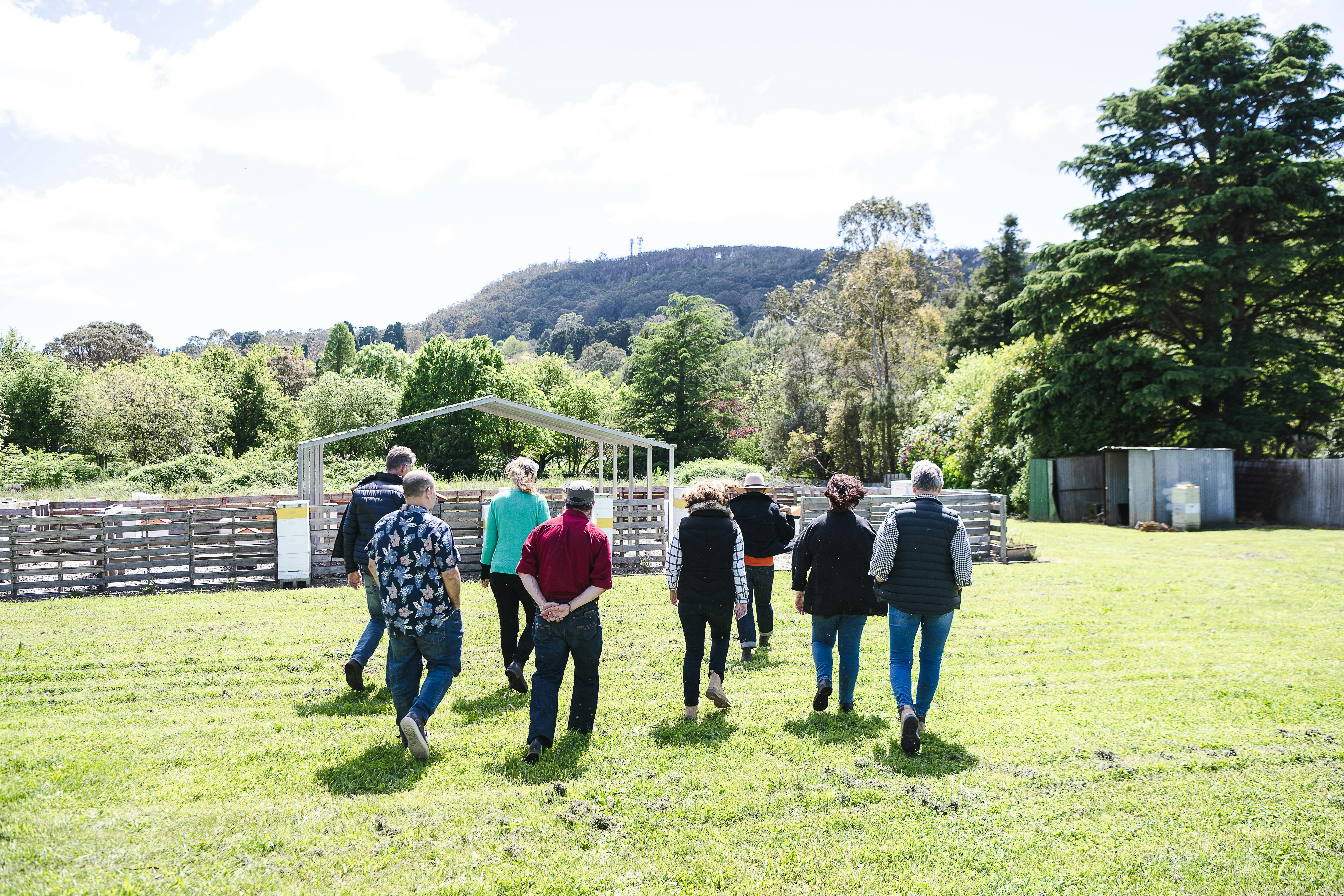 Walking to the beehives before tour