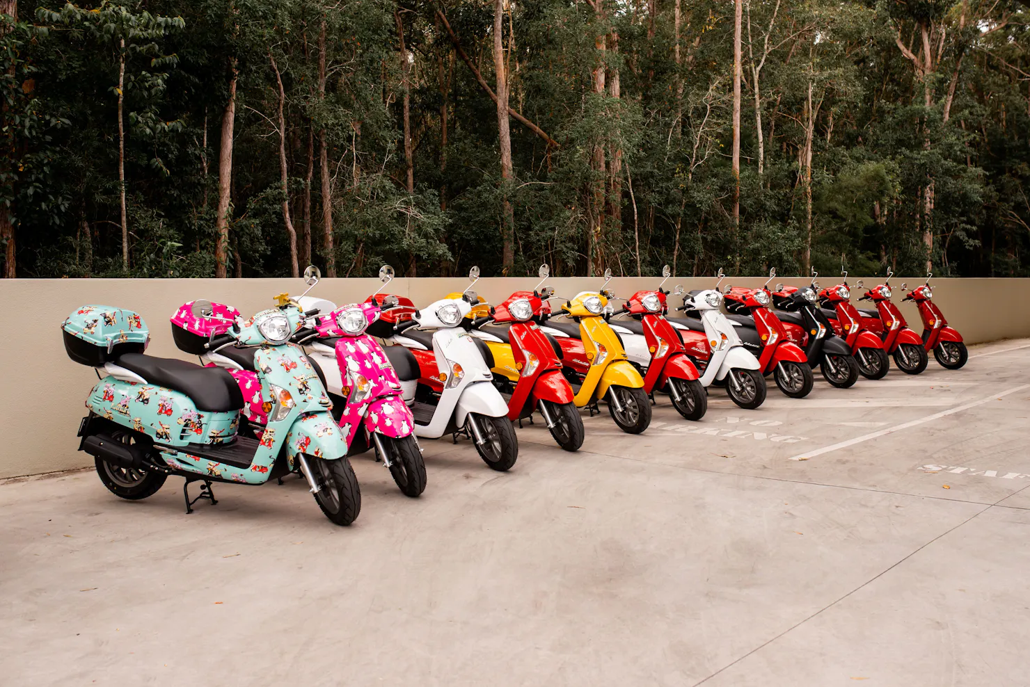 Line up of different coloured moped scooters for hire in Noosa