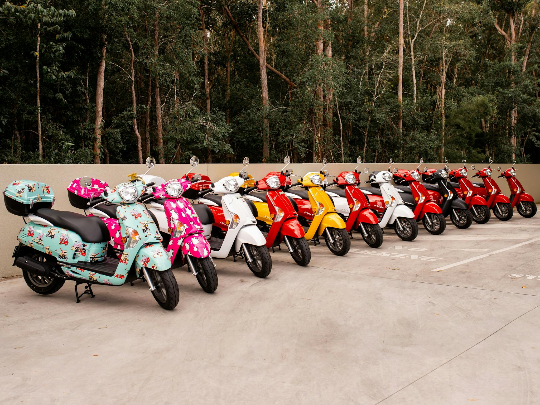 Line up of different coloured moped scooters for hire in Noosa Line up of different coloured moped scooters for hire in Noosa
