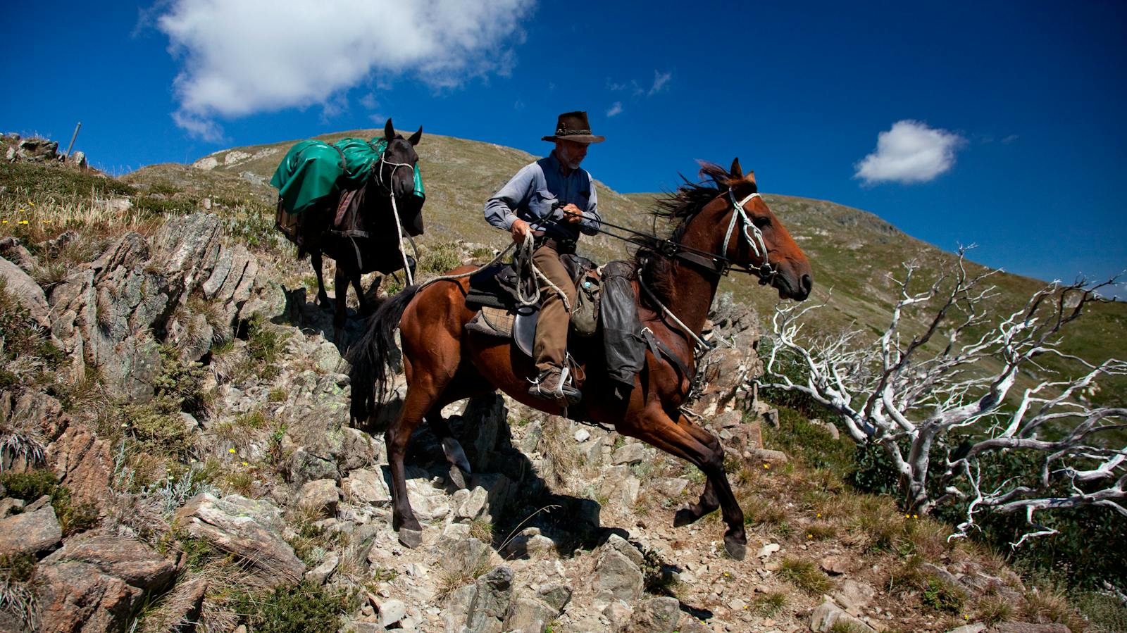 Eskdale Spur on Mount Bogong