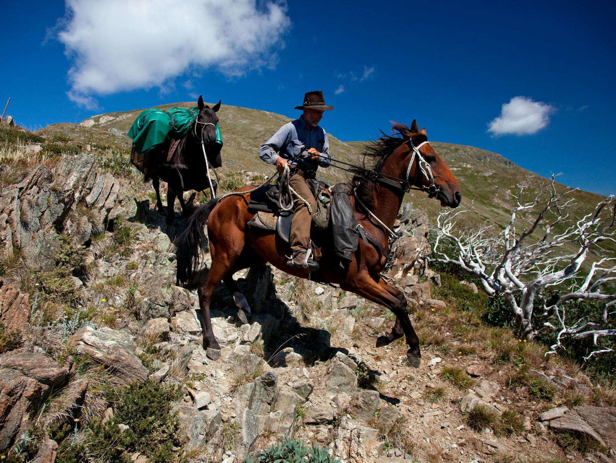 Eskdale Spur on Mount Bogong