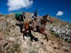 Eskdale Spur on Mount Bogong