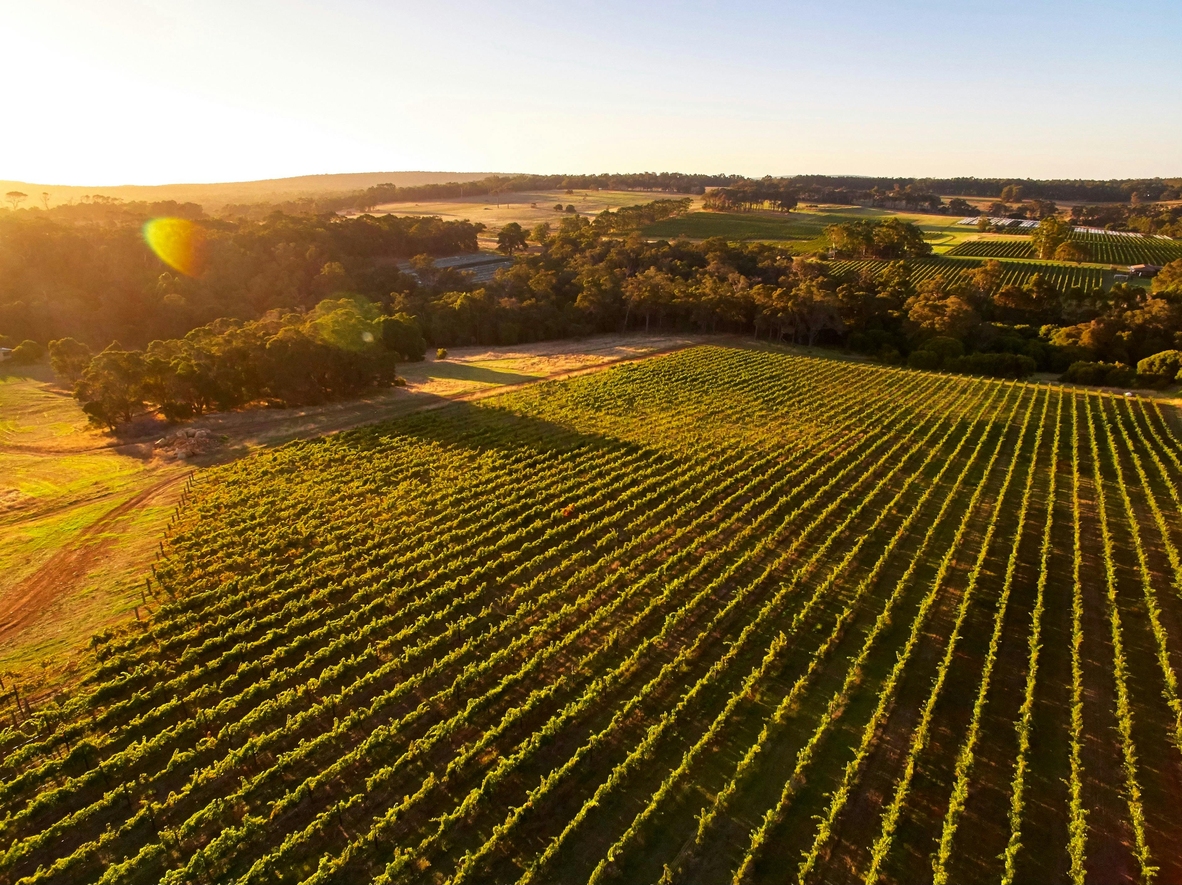 Pair'd Margaret River Region