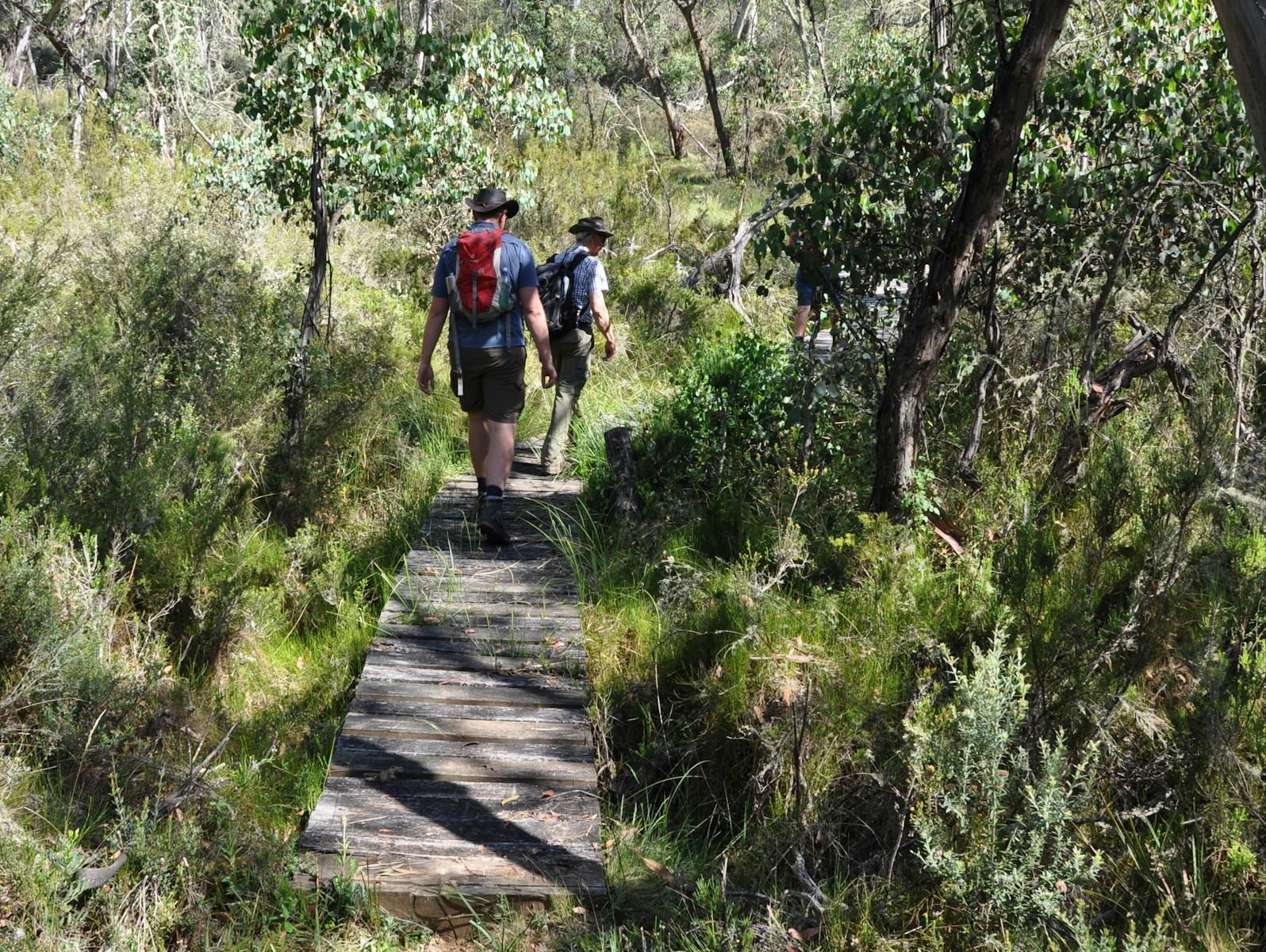 Hume and Hovell Track - Henry Angel Trackhead