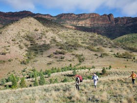 Exploratory style no fixed trail