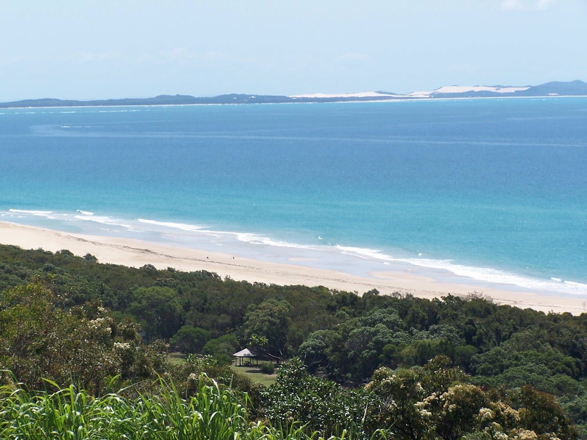 Pandanus Palms Stradbroke Island Pandanus Palms Stradbroke Island