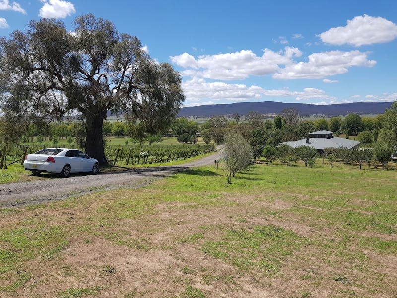 Lake George Winery offers a wonderful vista and vast surrounds to enjoy.