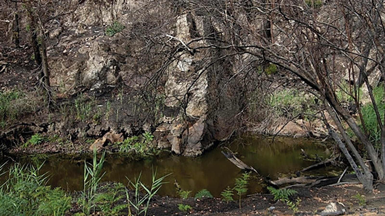 Brisbane Ranges National Park
