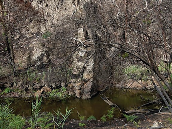 Brisbane Ranges National Park