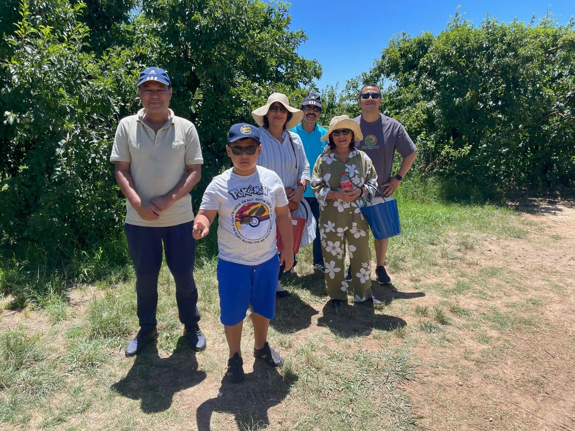 Family enjoying picking cherries
