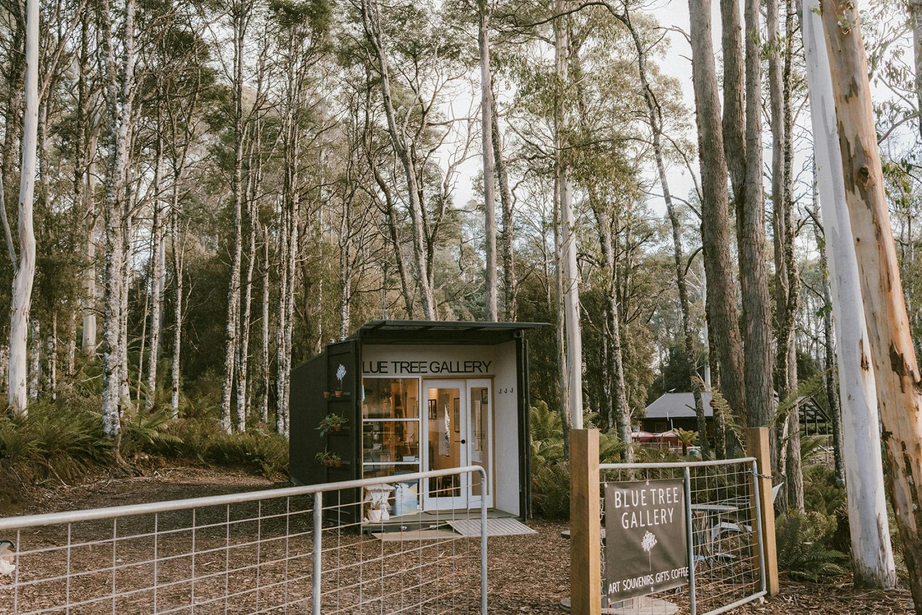Blue Tree Gallery