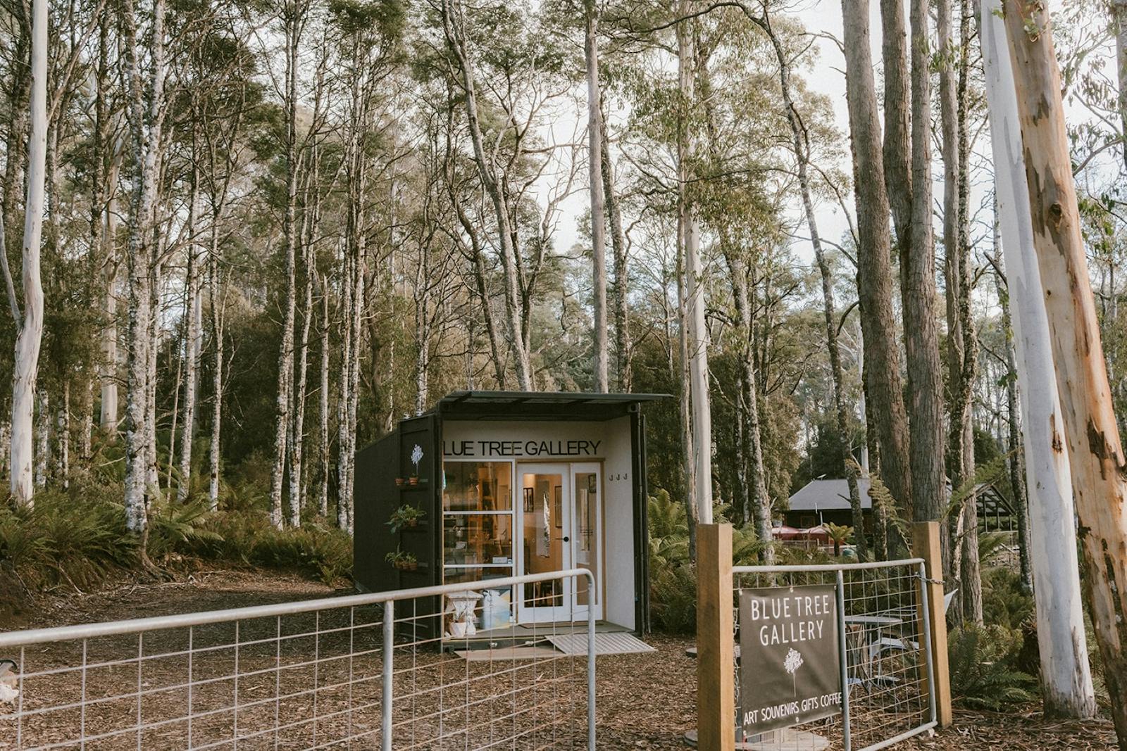 Blue Tree Gallery