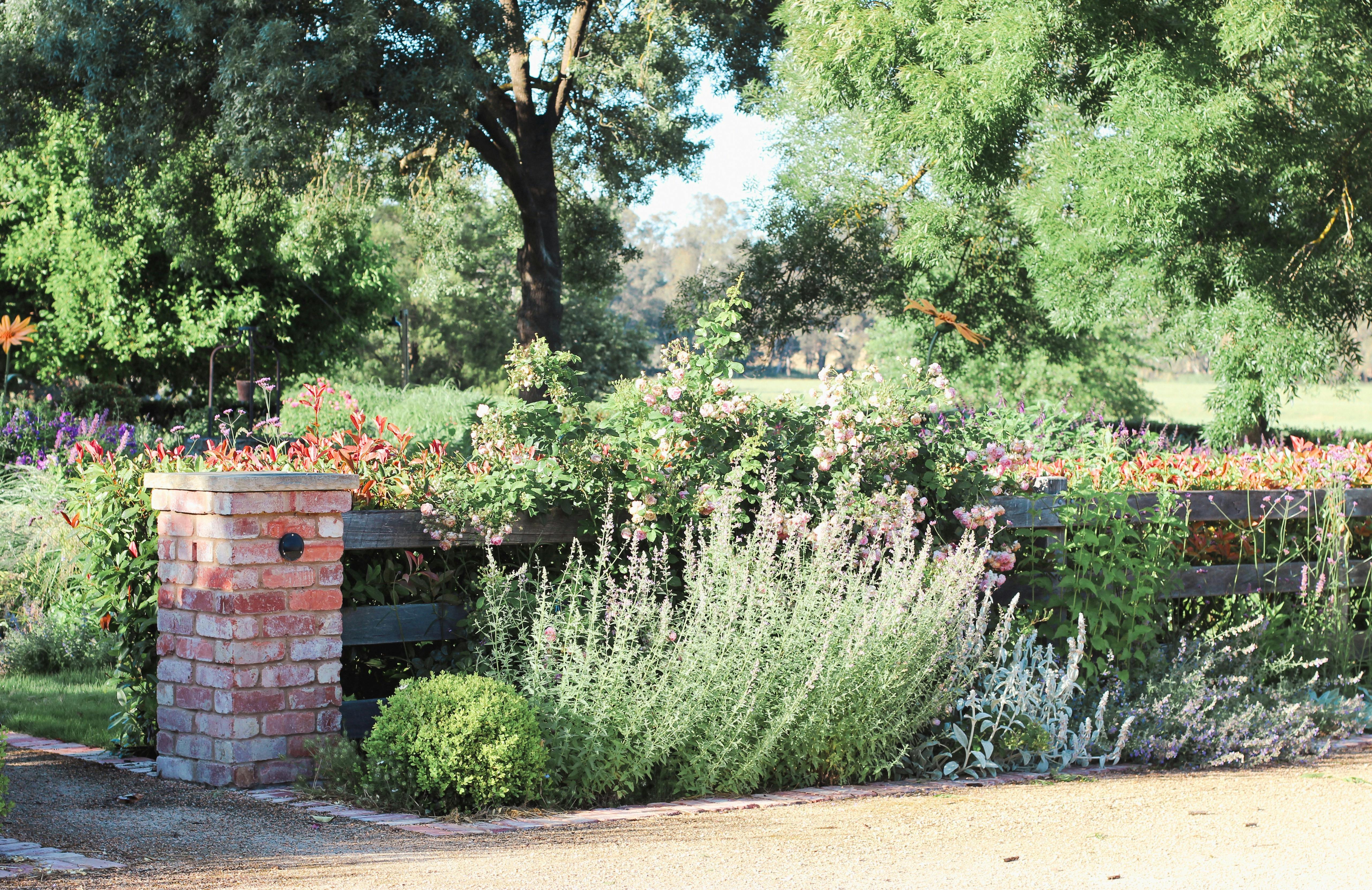 Picture of a brick garden entrance with a hedge along a fence and a naturalistic garden bed in front