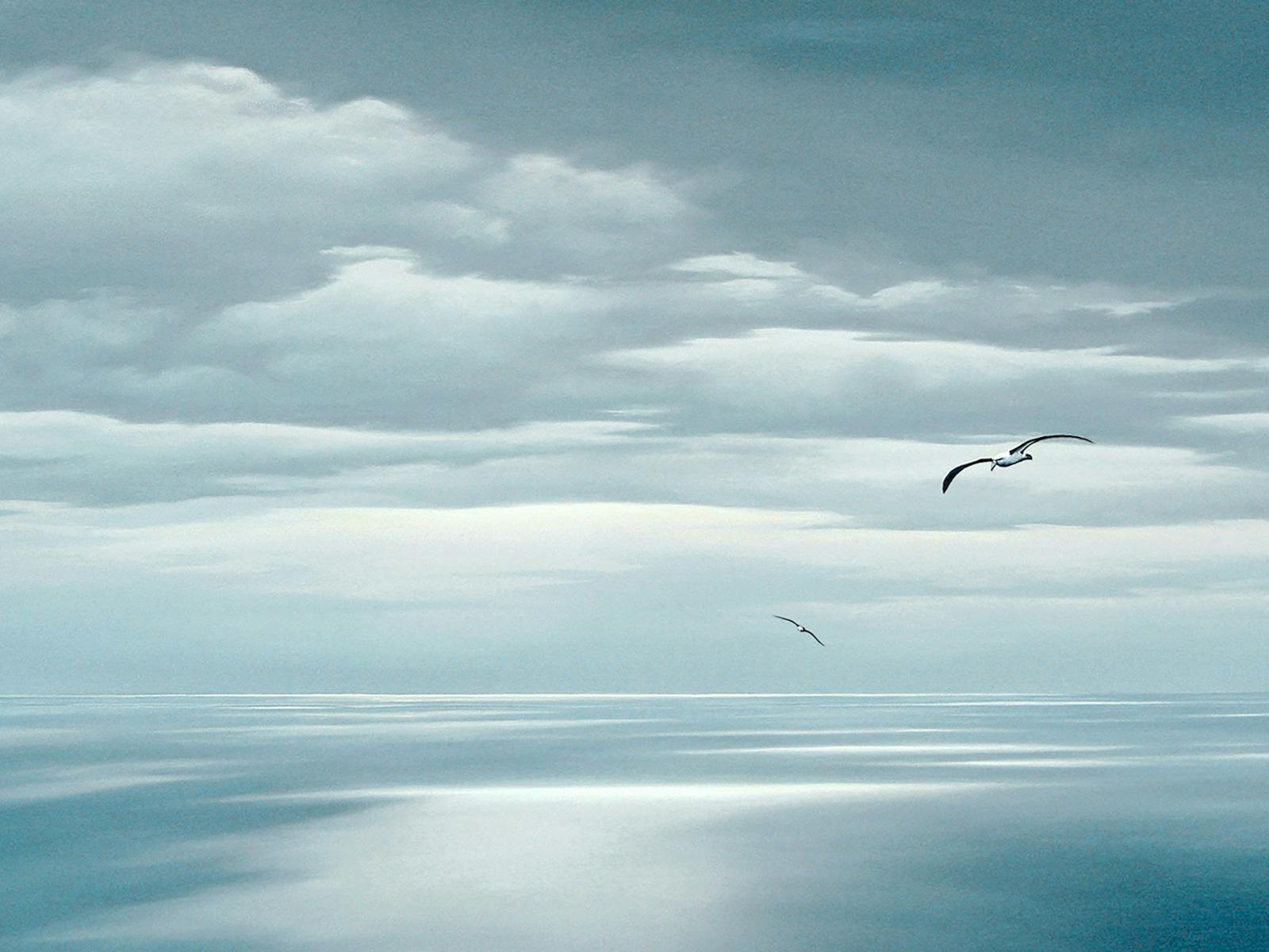 Bass Strait Albatross, Tasmania. Oil painting by Richard Stanley.