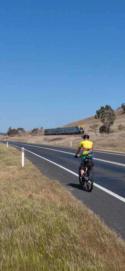 XPT train passing cyclist