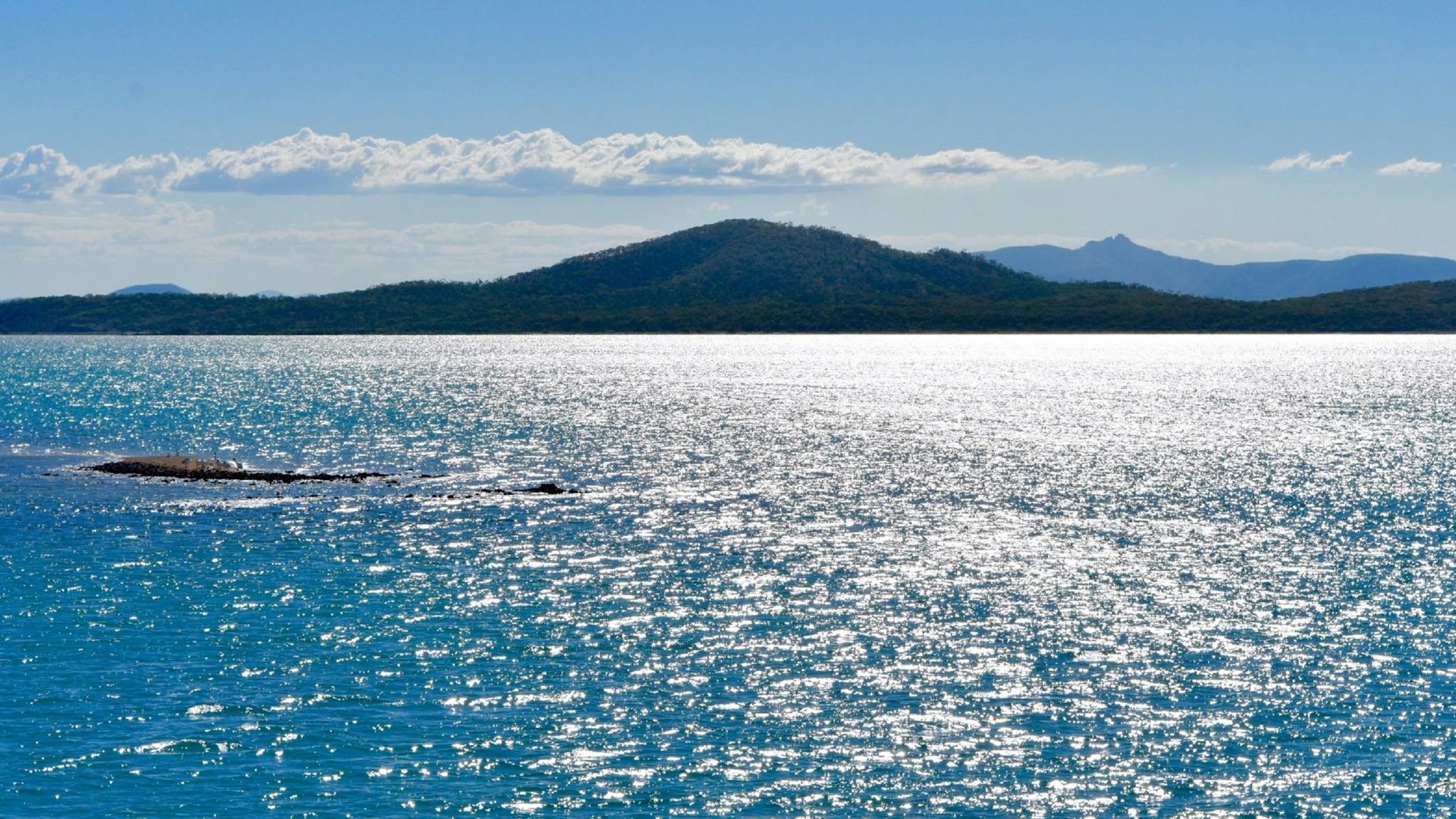 Coffee Cruise Gladstone Harbour
