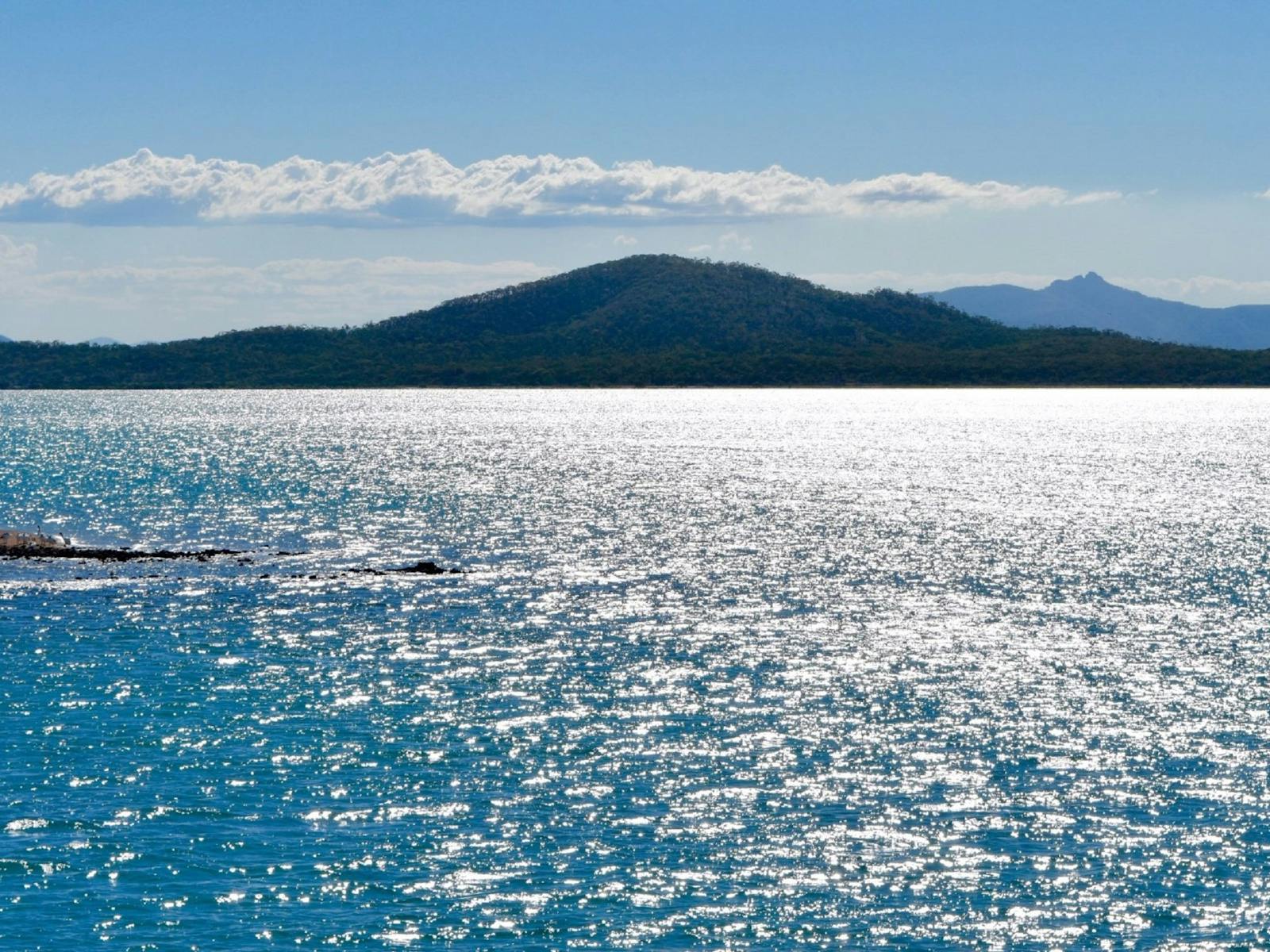 Port of Gladstone Harbour Tour
