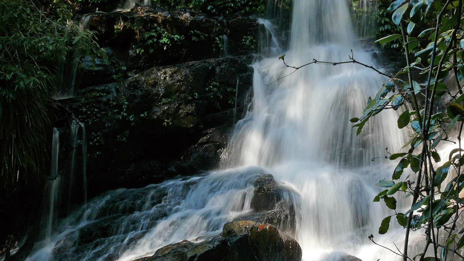 Bangalore Falls Walking Track