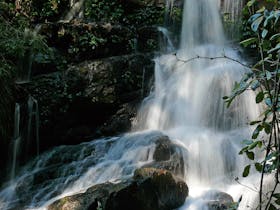 Bangalore Falls Walking Track