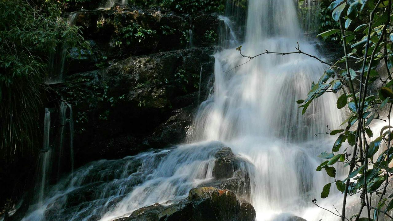 Bangalore Falls Walking Track