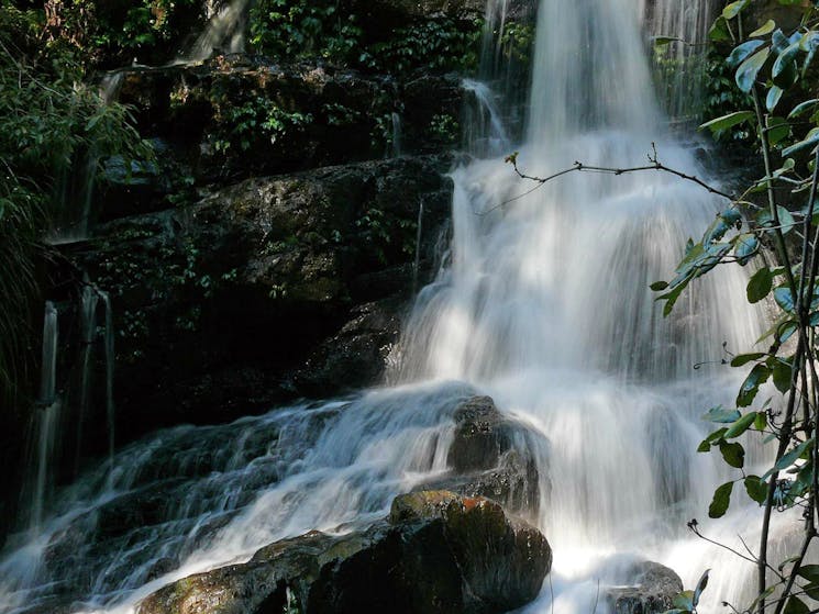 Bangalore Falls, Bindarri National Park. Photo: Helen Clark/NSW Government