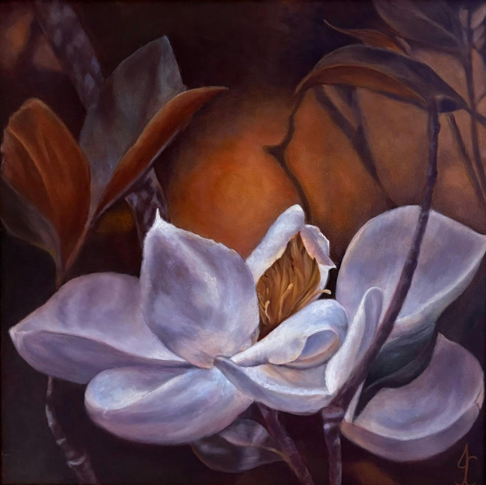 Magnolia