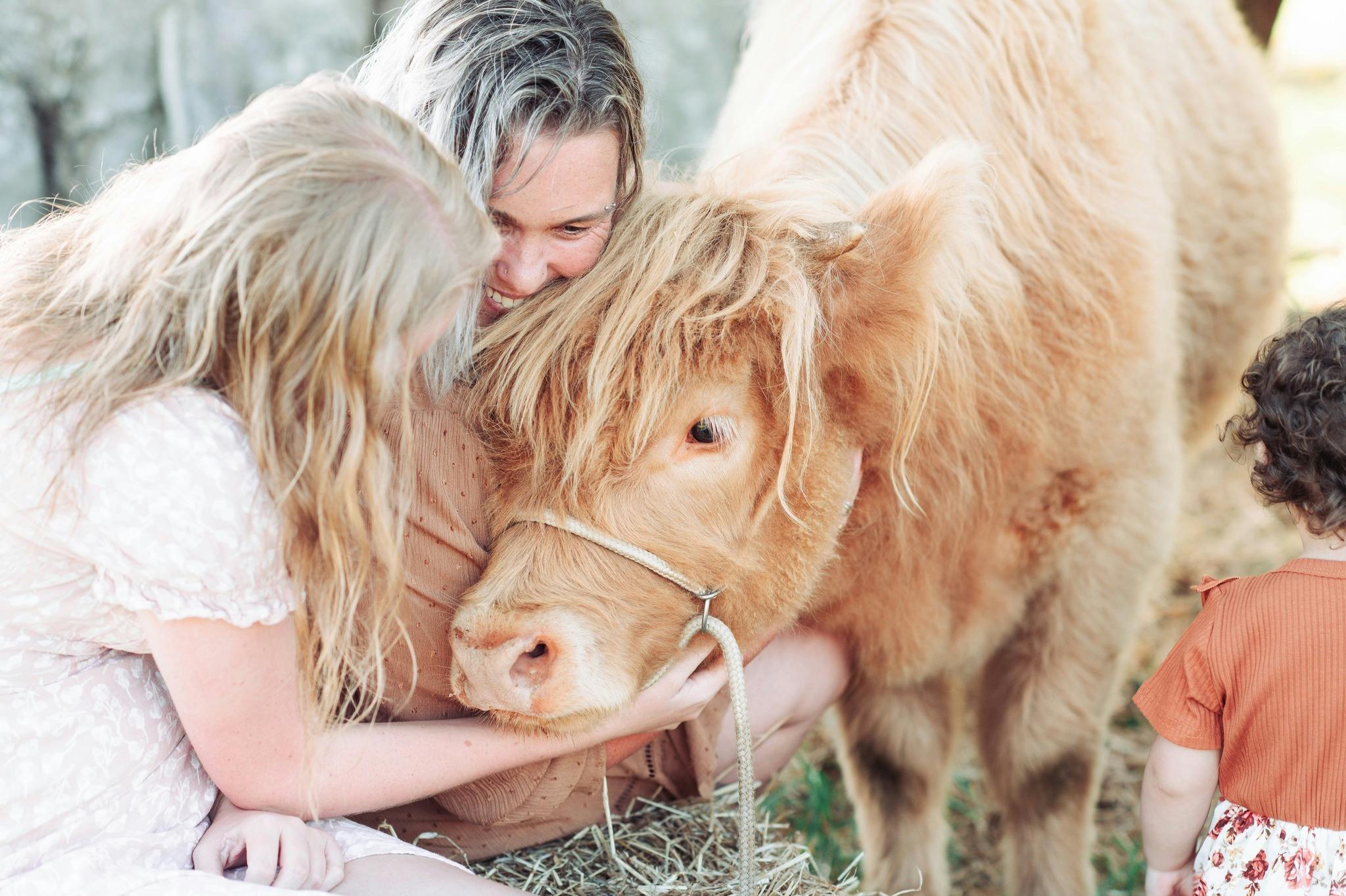 Two guests cuddle a friendly young Highland