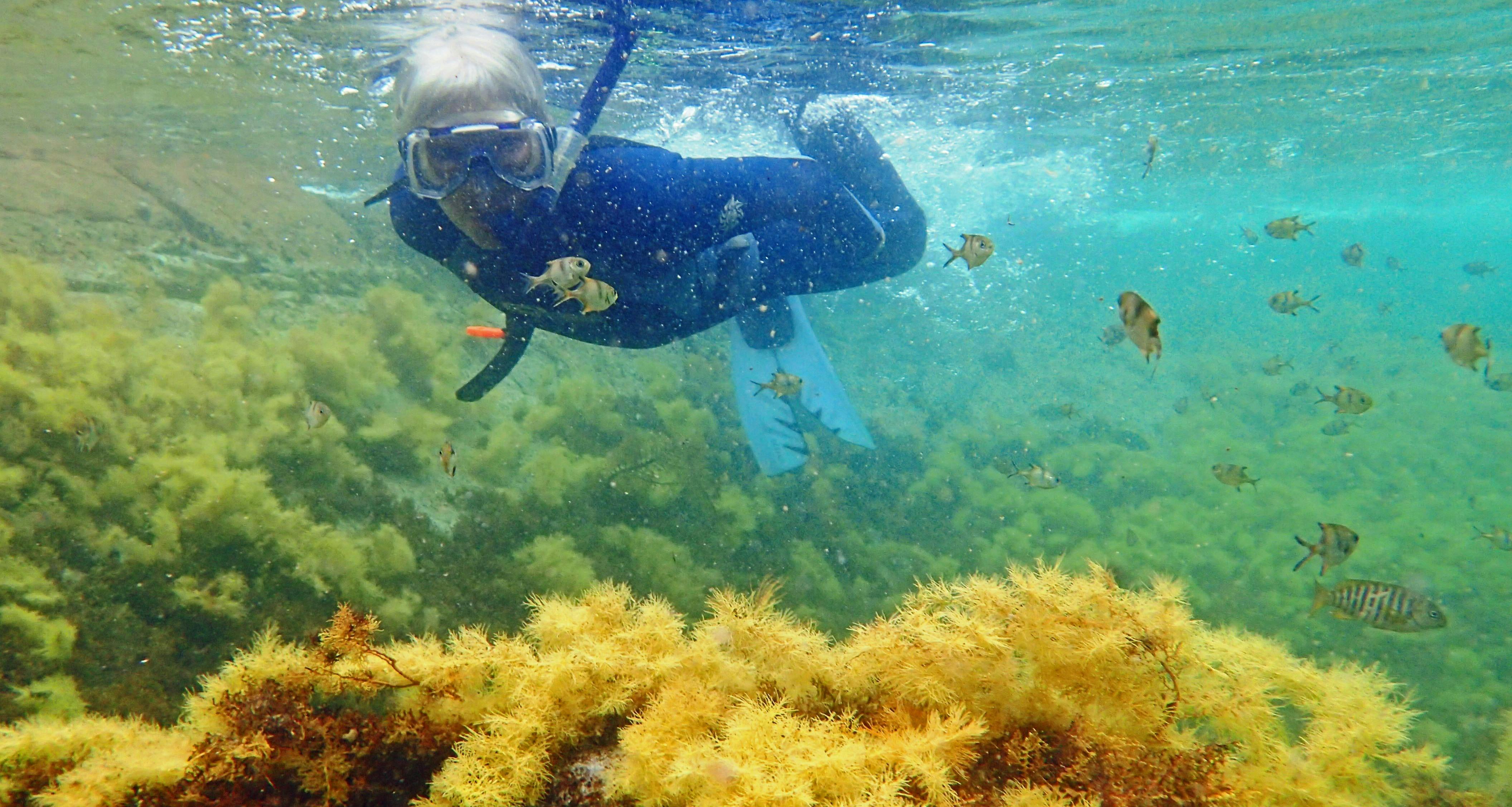 Snorkeling at Treasure Cove