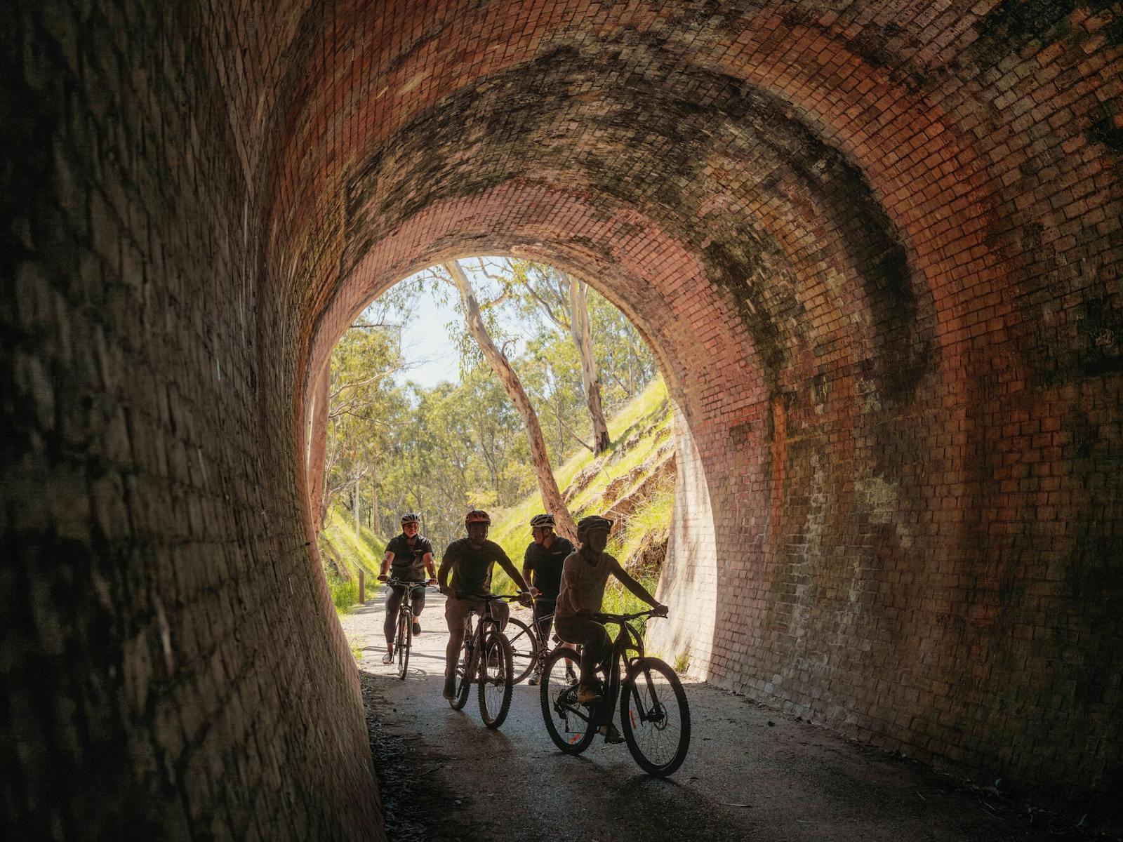 Cheviot Tunnel, Great Victorian Rail Trail