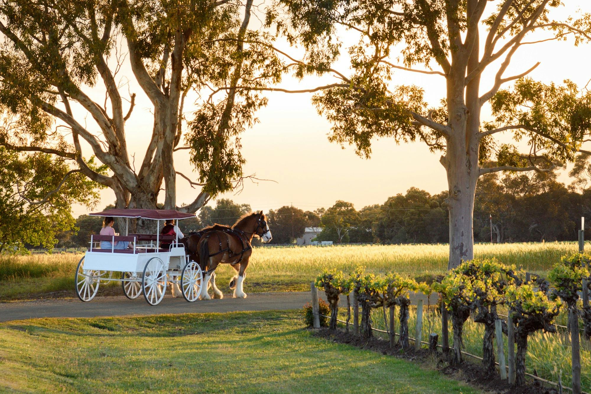 Winter Special Horse Drawn Wine Tour