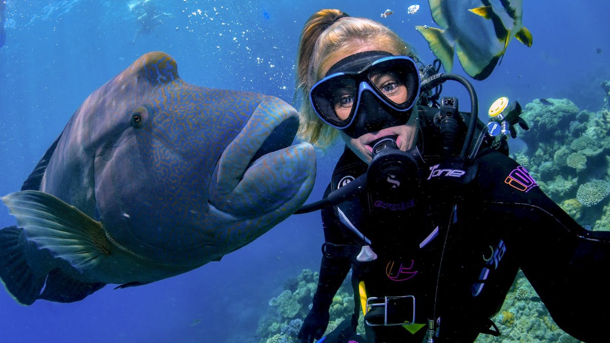 Down Under Cruise and Dive