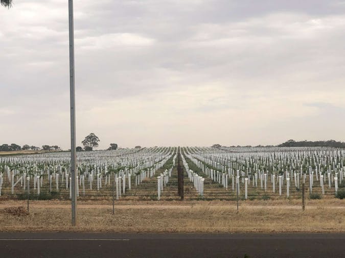 Clare Valley Wine Experience Day Tour LC03