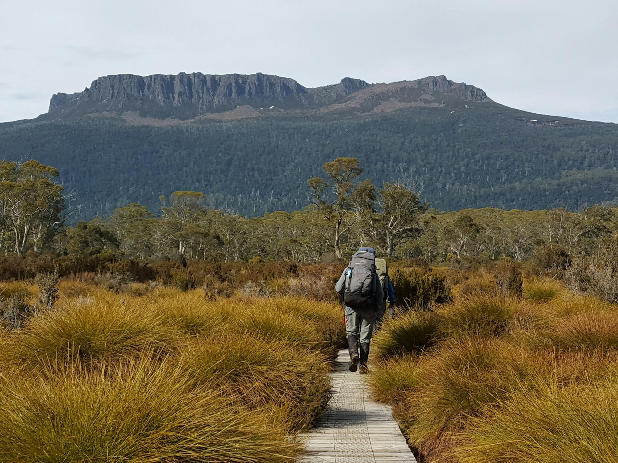 Walking the Overland Track in Tasmania