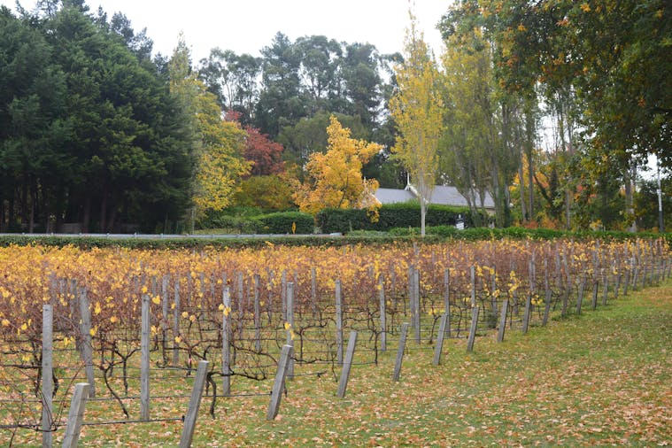 Adelaide Hills Day Tour
