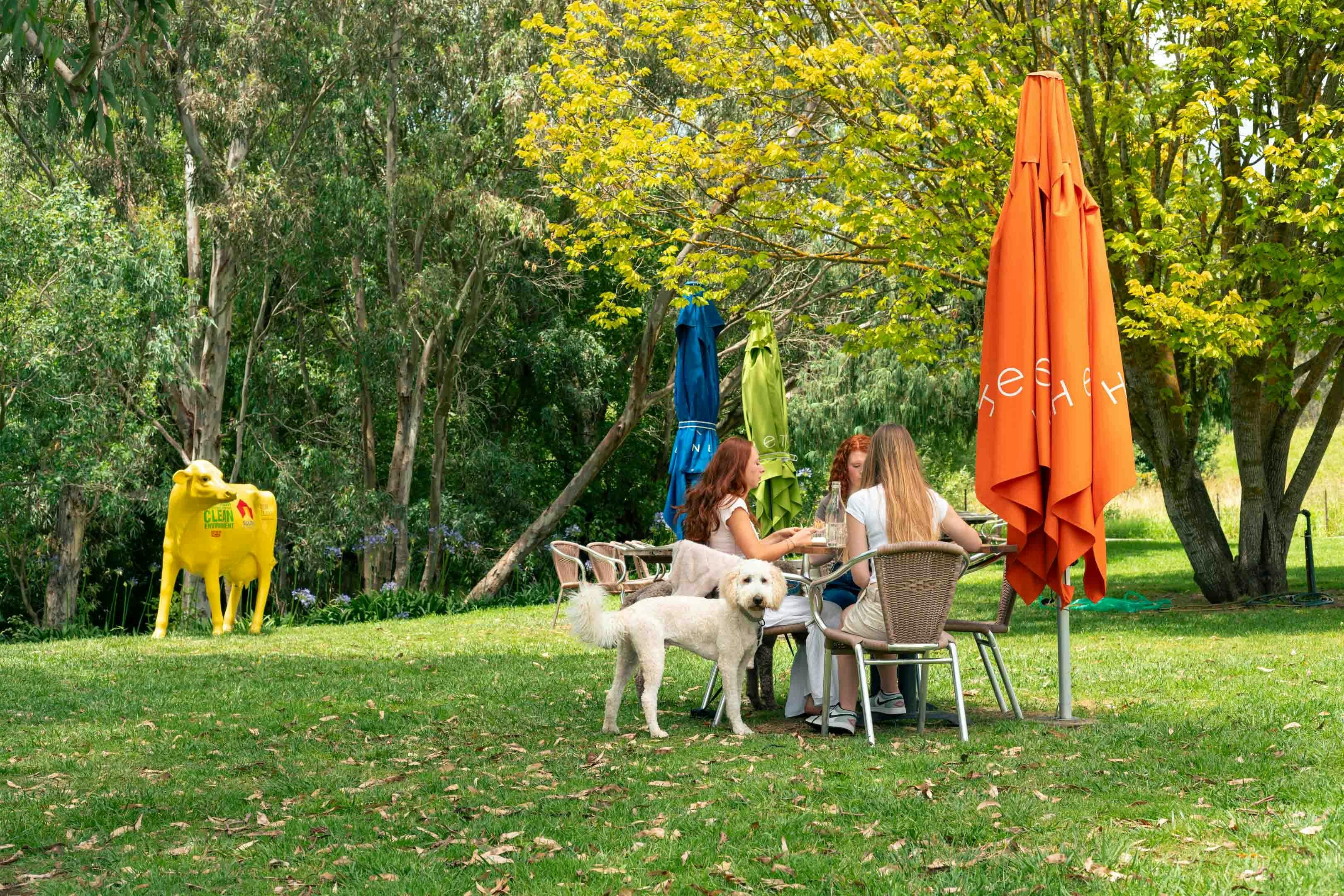 Enjoying food in the sun