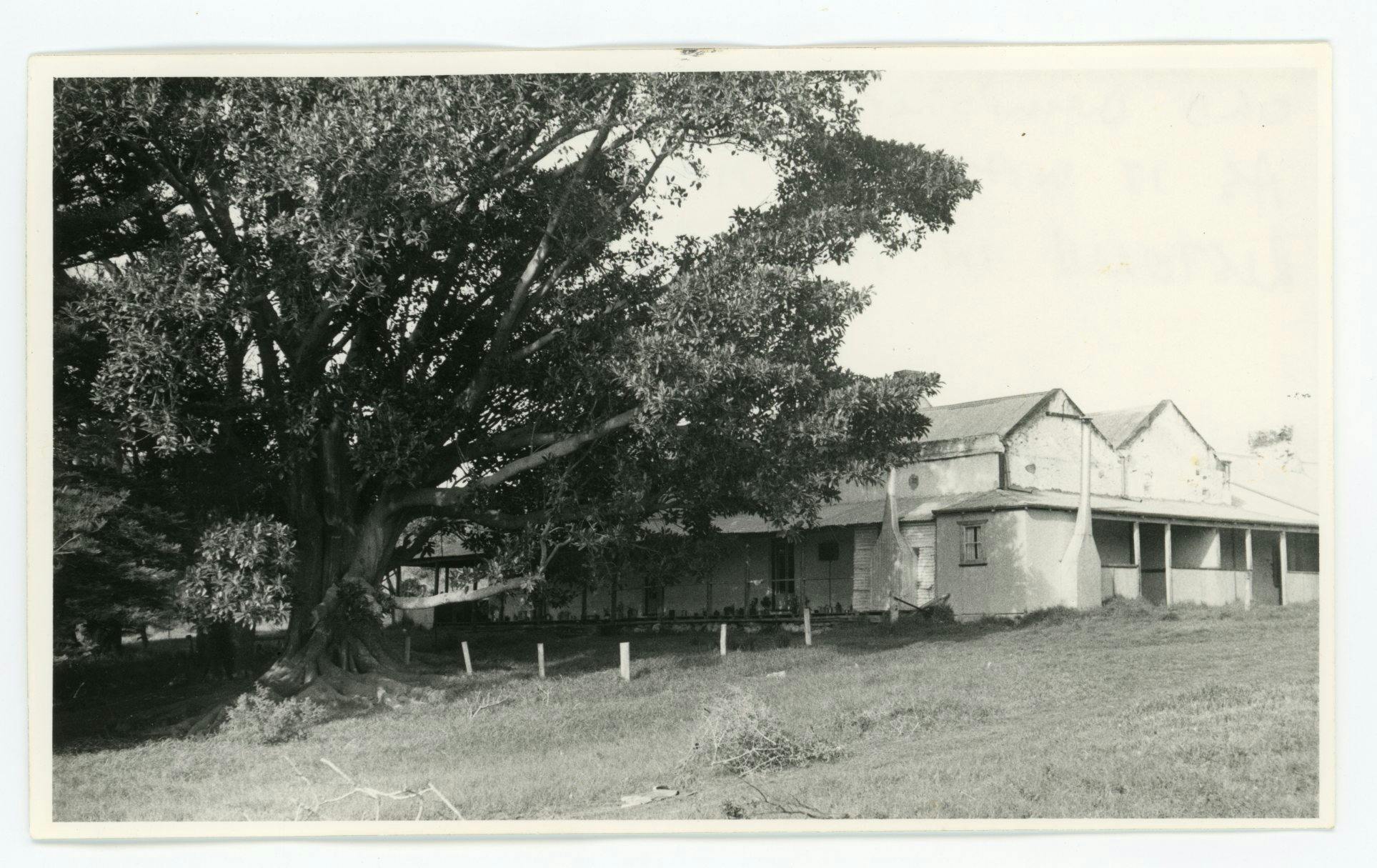 dempster homestead
