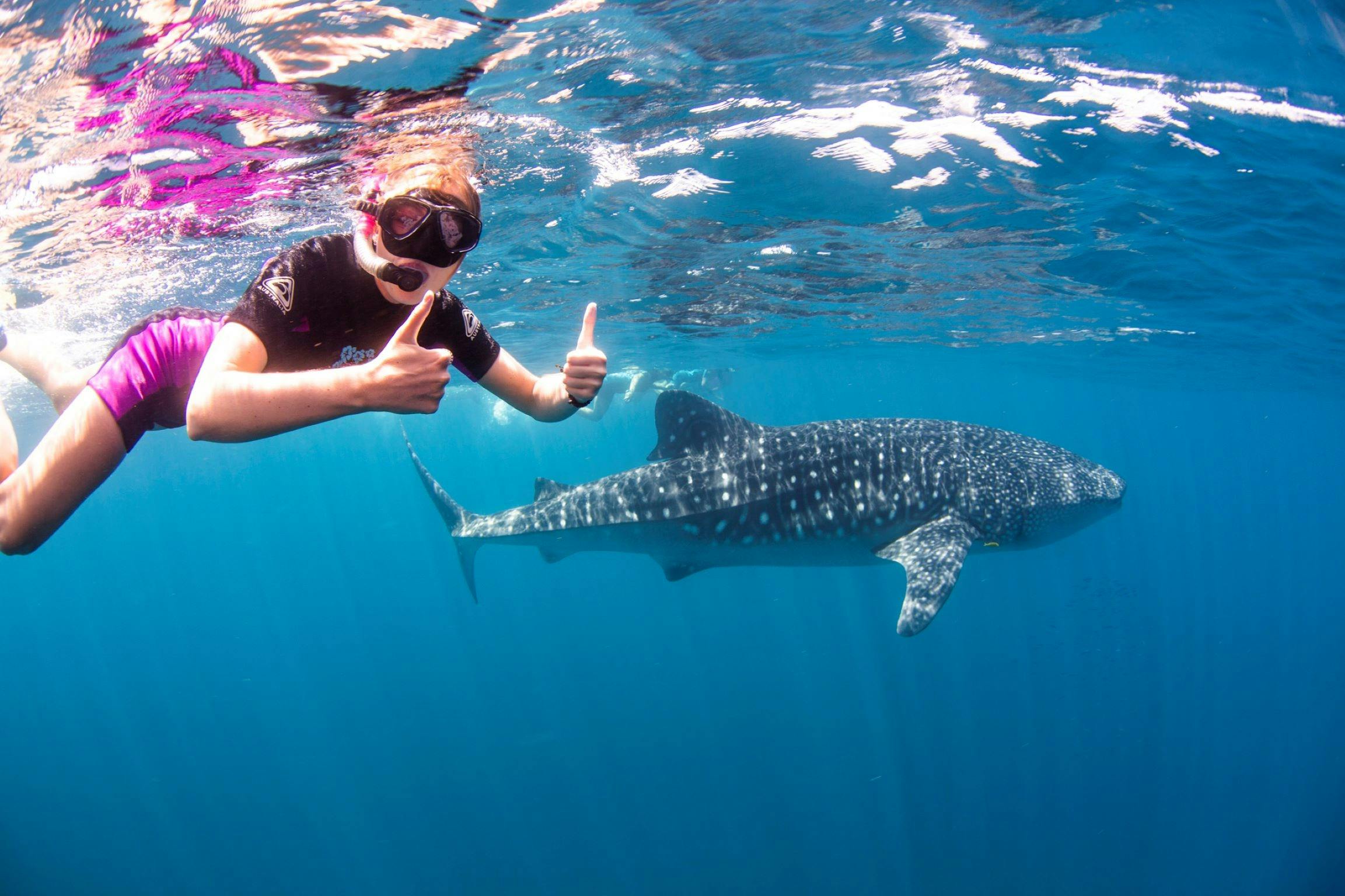 ningaloo blue
