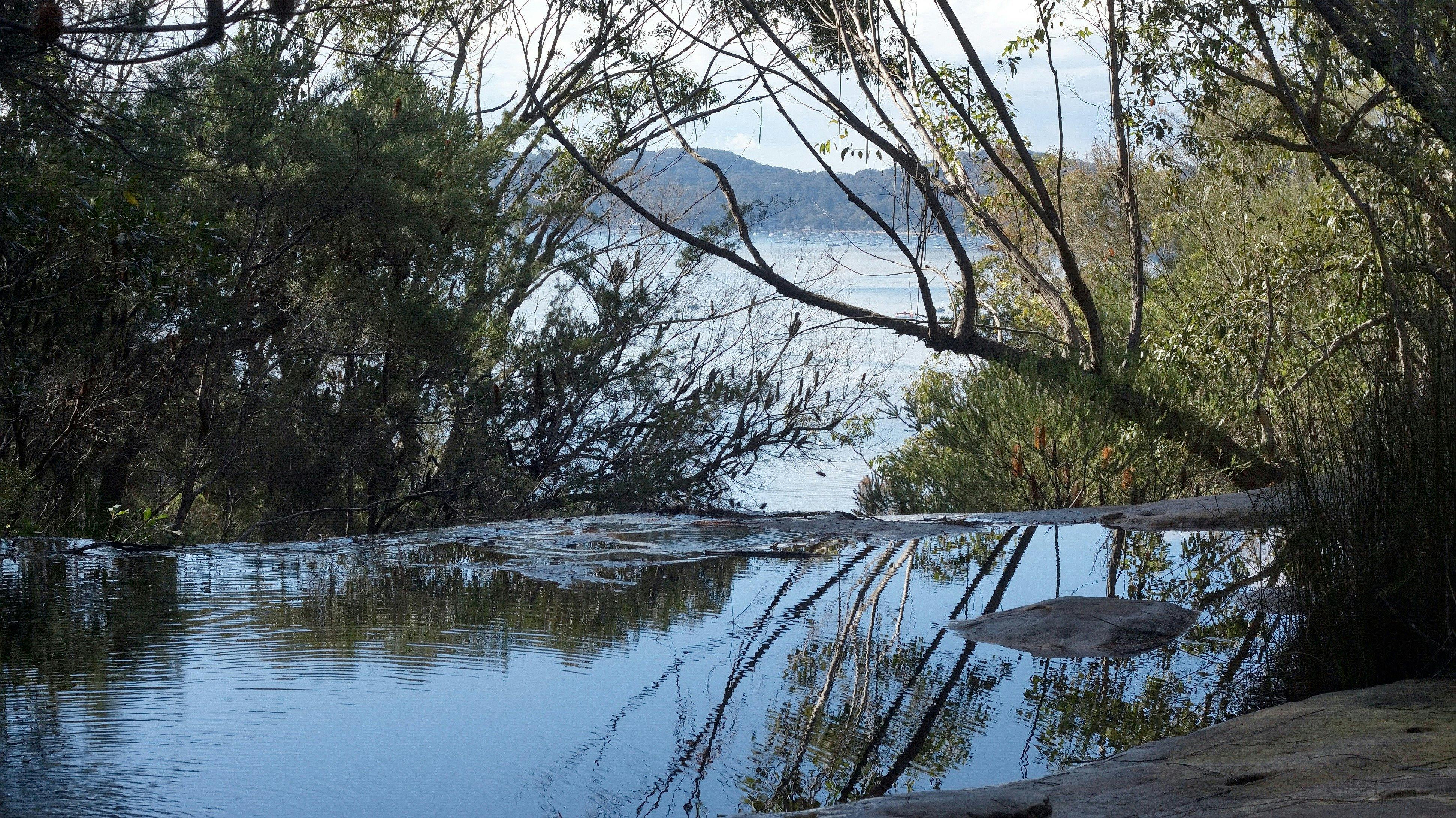 ロヴェットベイ