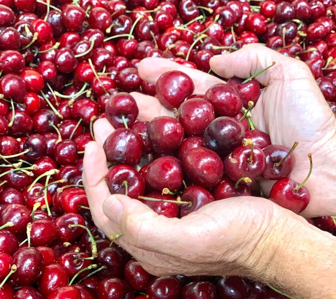 Bunbury Farmers Market, Glen Iris, Western Australia