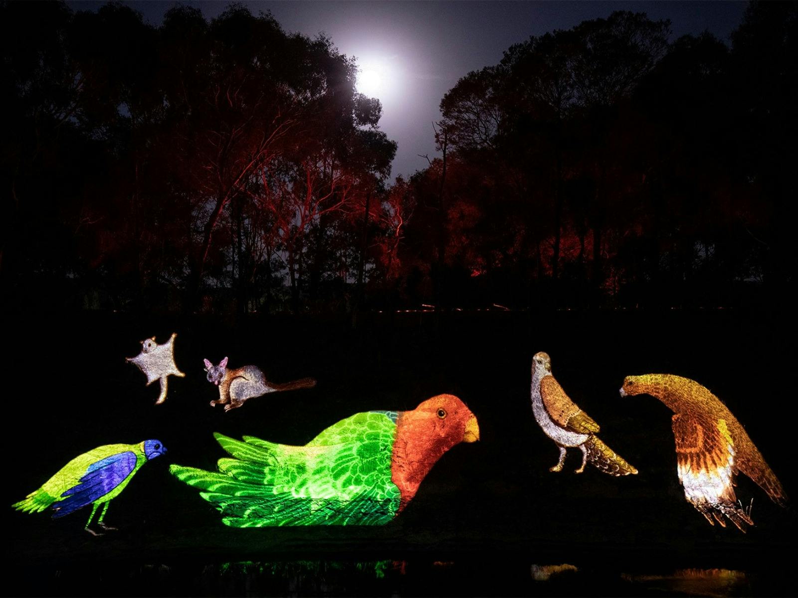 AURA Sound and Light Show at Sovereign Hill