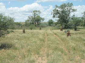 The track into the Powell Creek Telegraph Station site is poorly marked and difficult to discern in places, following recent  rains