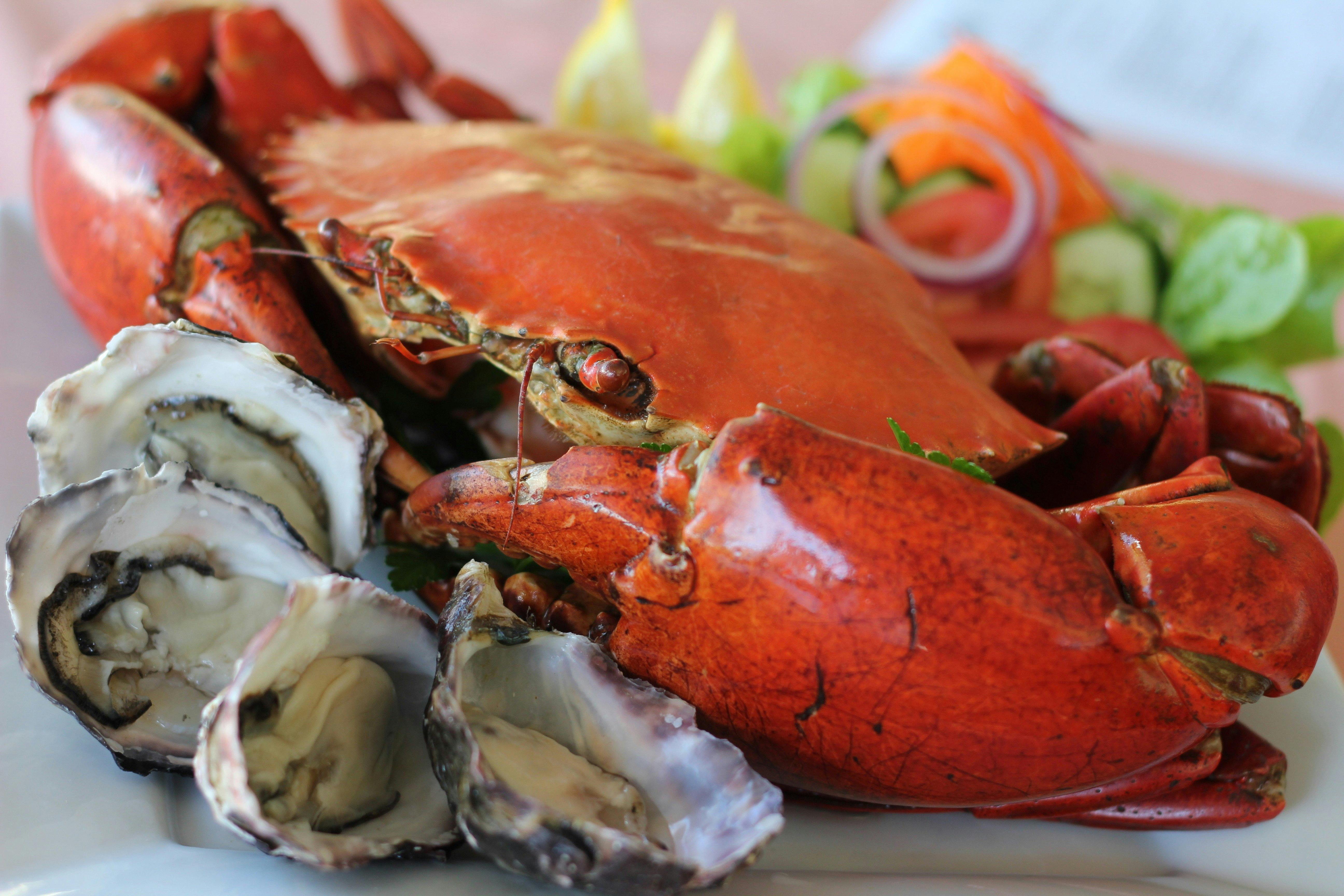 Featuring freshly-caught mudcrab & locally-sourced oysters